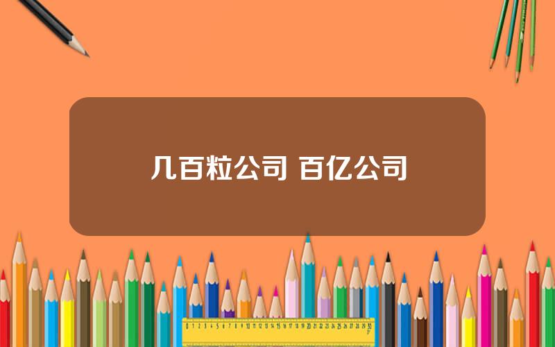 几百粒公司 百亿公司